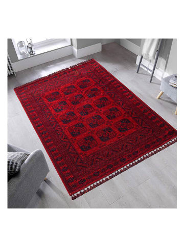 Mioli Dywan "BHR 01" w kolorze czerwonym