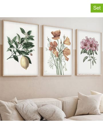 ABERTO DESIGN 3er-Set: Gerahmte Kunstdrucke