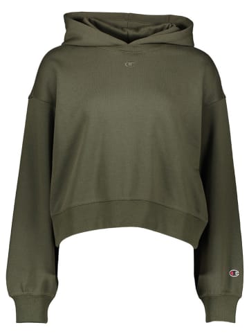 Champion Sweatshirt in Khaki
