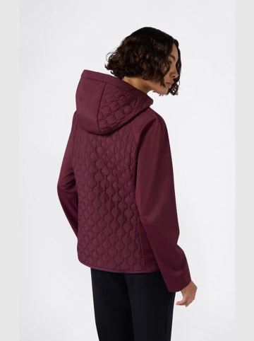 Champion Übergangsjacke in Lila