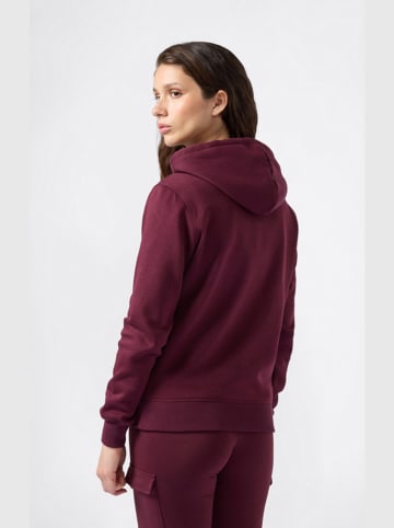 Champion Hoodie in Lila