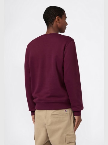 Champion Sweatshirt in Lila