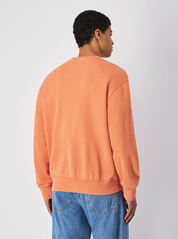 Champion Sweatshirt in Orange