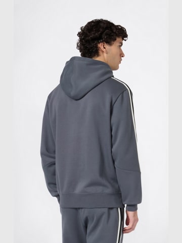 Champion Hoodie in Grau