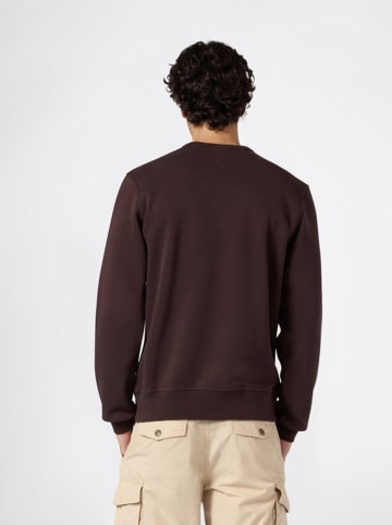 Champion Sweatshirt in Braun