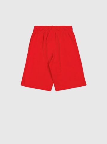 Champion Sweatshorts in Rot
