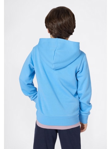 Champion Hoodie lichtblauw