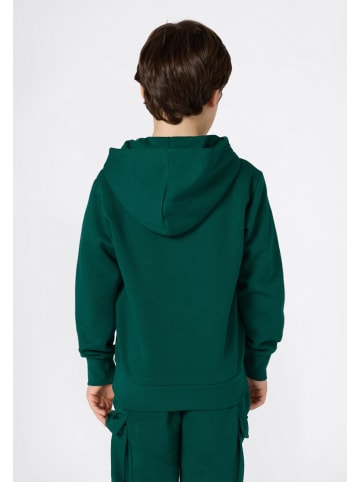 Champion Hoodie in Grün