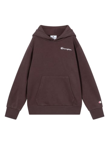 Champion Hoodie in Braun
