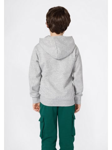 Champion Hoodie grijs