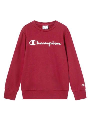 Champion Sweatshirt in Rot