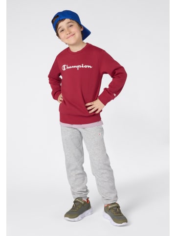 Champion Sweatshirt rood