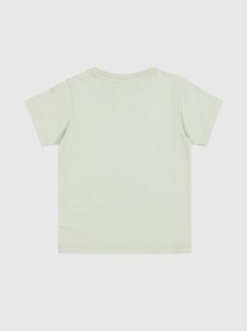 Champion Shirt in Hellgrün