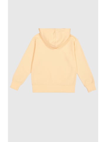 Champion Hoodie in Orange