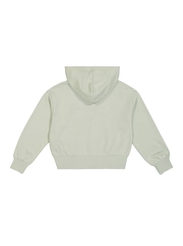 Champion Hoodie in Hellgrün