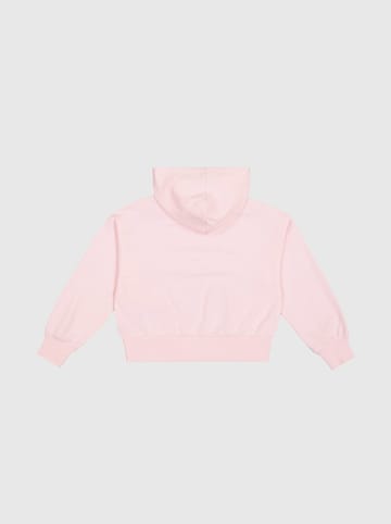 Champion Hoodie lichtroze