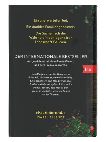 Btb Roman "Alles was ich dir geben will"