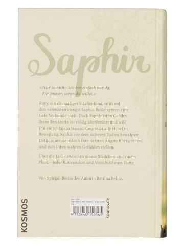 Kosmos Jugendroman "Saphir - Rebellische Herzen"