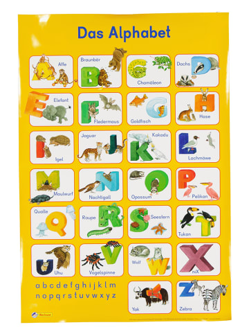 Nelson 2er-Set: Poster "Mein Lernposter"