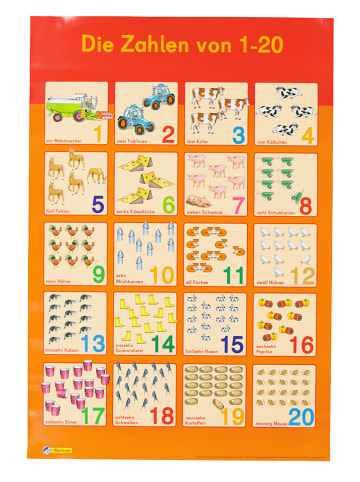 Nelson 2er-Set: Poster "Mein Lernposter"