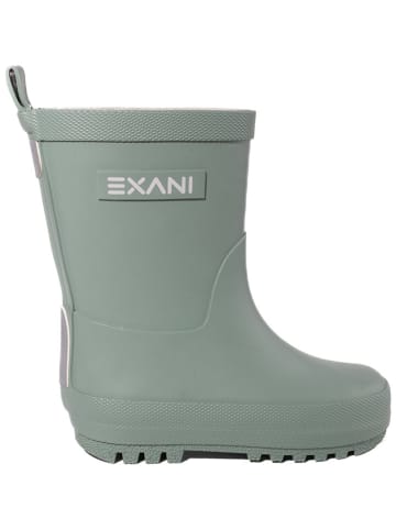 Exani Gummistiefel in Grün