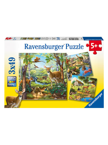 Ravensburger 49-częściowe puzzle (3 szt.) - 5+
