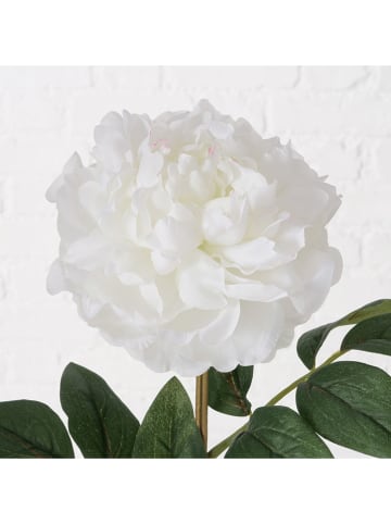 Boltze Dekoracyjny kwiat w kolorze biało-zielonym - wys. 17 cm