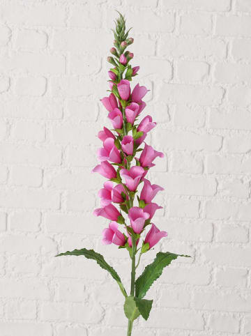 Boltze Kunstbloem "Fingerhut" roze/groen - (H)96 cm