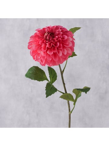 Boltze Sztuczny kwiat "Dahlia" w kolorze różowo-zielonym - wys. 75 cm