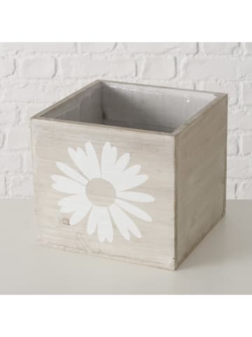 Boltze 3er-Set: Übertöpfe "Daisie" in Beige