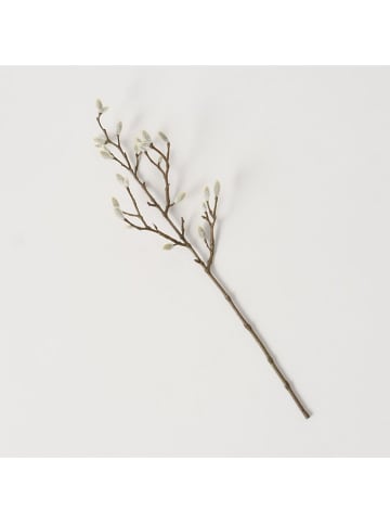 Boltze Decoratieve tak "Wilgenkatjes" bruin/Weiß- (H)54 cm