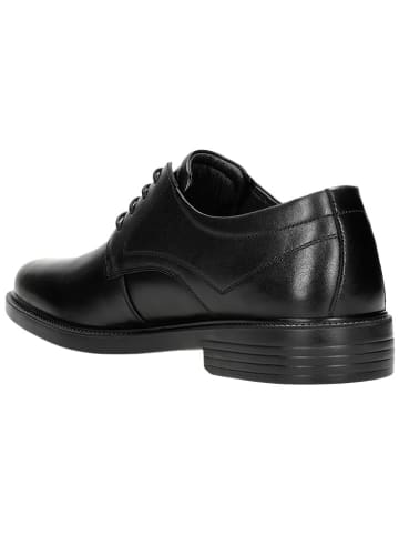 Wojas Leren veterschoenen zwart