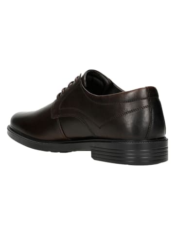 Wojas Leder-Schnürschuhe in Braun