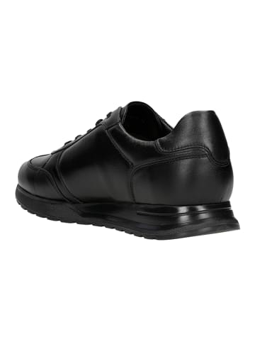 Wojas Leder-Sneakers in Schwarz