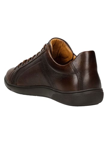 Wojas Leder-Sneakers in Braun