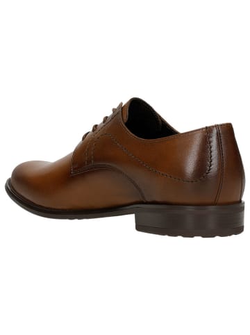 Wojas Leder-Schnürschuhe in Braun