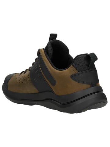 Wojas Trekkingschoenen bruin/zwart