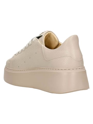 Wojas Leder-Sneakers in Beige