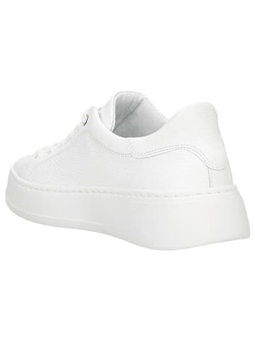 Wojas Skórzane sneakersy w kolorze białym