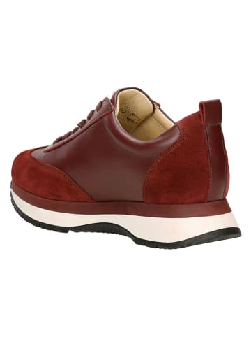 Wojas Leder-Sneakers in Bordeaux
