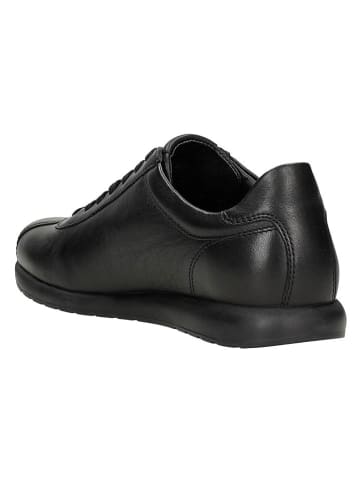 Wojas Leder-Sneakers in Schwarz
