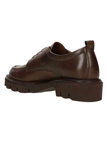 Wojas Leder-Schnürschuhe in Braun