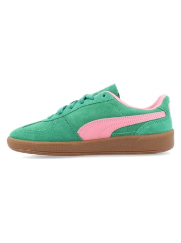 Puma Leren sneakers "Palermo" groen