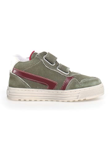 Naturino Leren sneakers "Ceonia" kaki/rood