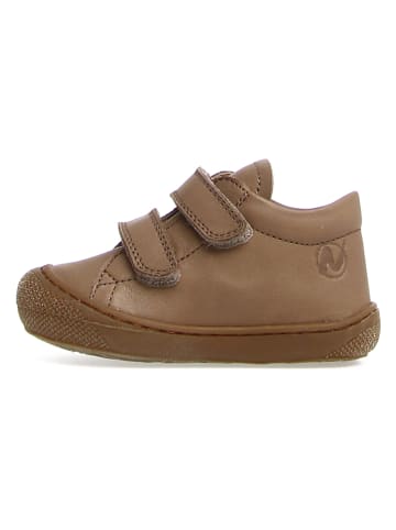 Naturino Leder-Sneakers "Coco" in Taupe