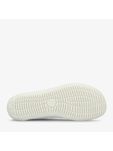 Groundies Barfußschuhe "Amsterdam" in Grau