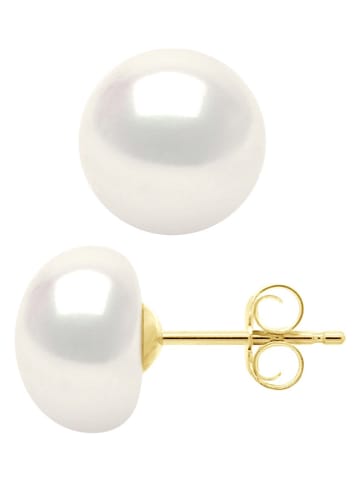 ATELIERS SAINT GERMAIN Złote kolczyki-wkrętki z perłami