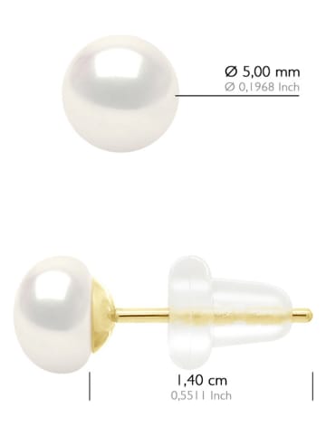 ATELIERS SAINT GERMAIN Złote kolczyki-wkrętki z perłami