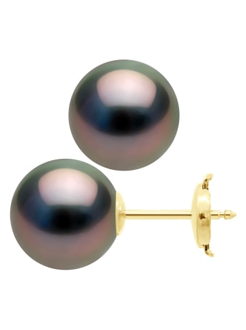 ATELIERS SAINT GERMAIN Gold-Ohrstecker mit Tahitizuchtperlen