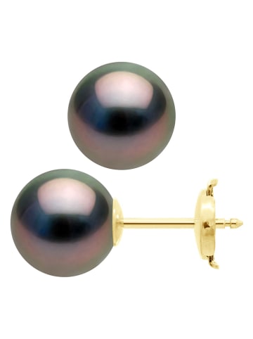 ATELIERS SAINT GERMAIN Gold-Ohrstecker mit Tahitizuchtperlen